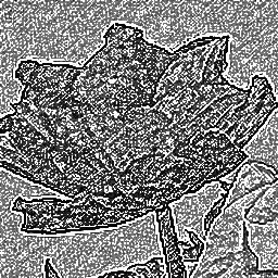 Pencil Sketch 001